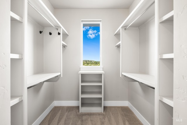 6799 E Warm Springs Ave, Boise, ID 83716 - walk in closet with carpet floors