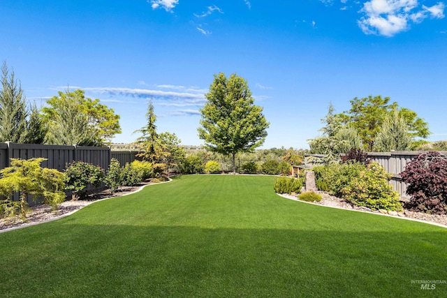 6799 E Warm Springs Ave, Boise, ID 83716 - view of yard