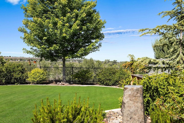 6799 E Warm Springs Ave, Boise, ID 83716 - view of yard
