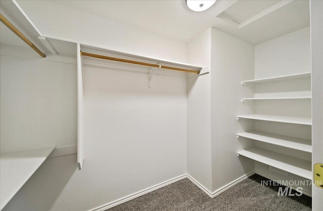 431 N David Frost St, Nampa, ID 83651 - spacious closet featuring carpet