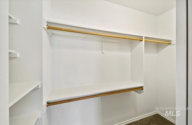 431 N David Frost St, Nampa, ID 83651 - view of walk in closet