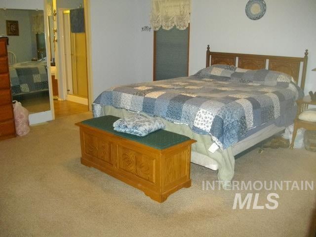 bedroom featuring light colored carpet