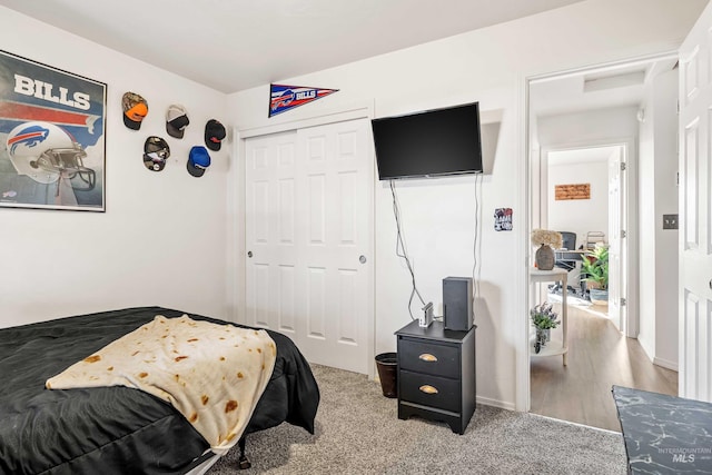 bedroom with a closet