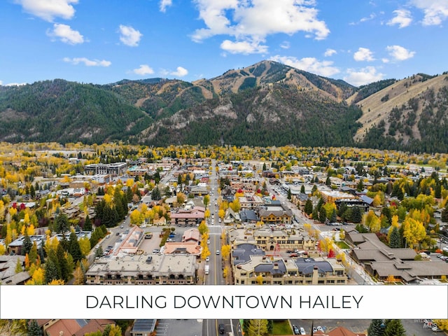 317 N River St Unit 3, Hailey, ID 83333 - property view of mountains
