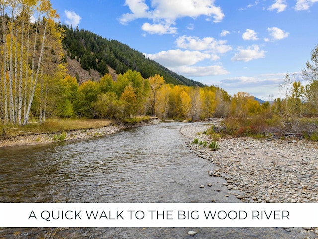 317 N River St Unit 3, Hailey, ID 83333 - exterior space with a mountain view and a wooded view