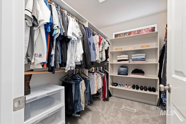 spacious closet featuring carpet floors and visible vents