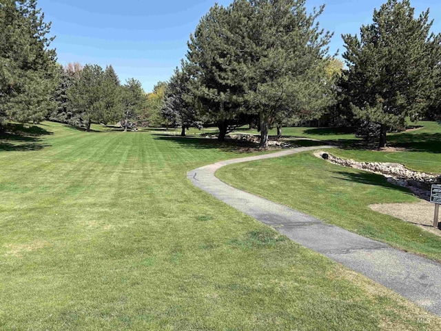 view of property's community featuring a lawn