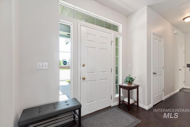 foyer entrance with baseboards and dark wood-type flooring