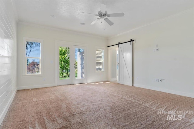 spare room featuring crown molding, ceiling fan, carpet, and a barn door