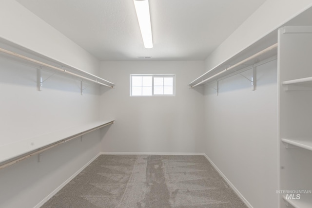 206 Marble Ave, Caldwell, ID 83605 - spacious closet featuring carpet flooring