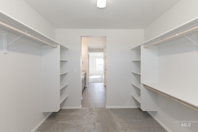 206 Marble Ave, Caldwell, ID 83605 - walk in closet featuring carpet flooring
