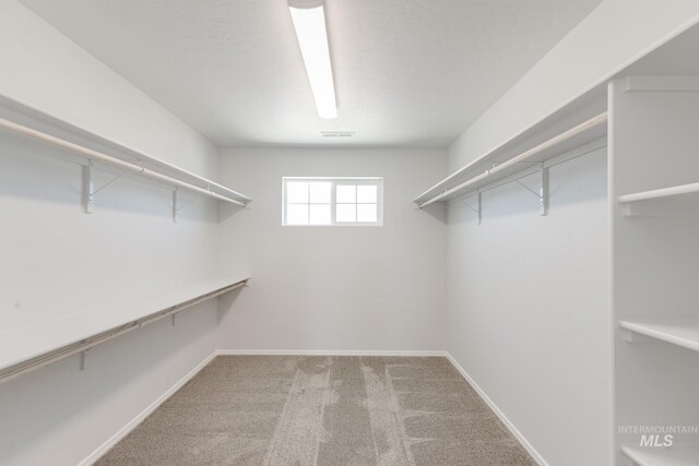 206 Marble Ave, Caldwell, ID 83605 - spacious closet featuring light colored carpet