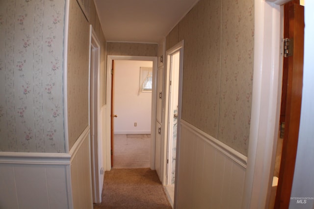 corridor with light colored carpet