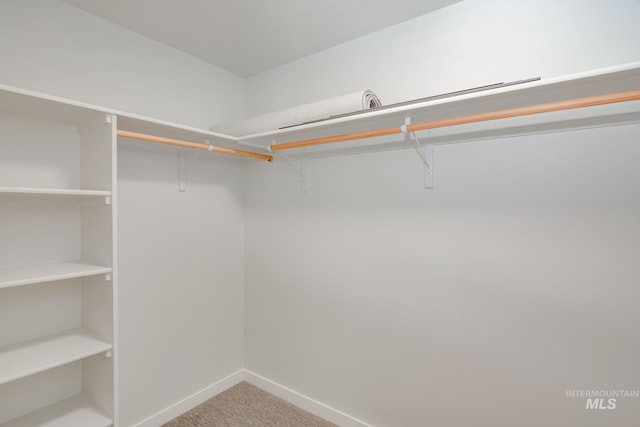 spacious closet with light carpet