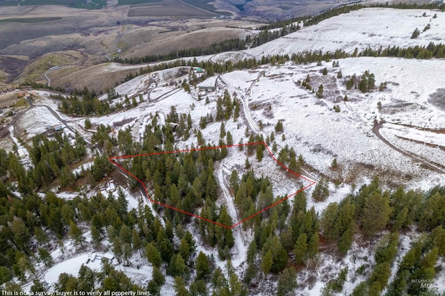 TBD Bobcat Ln, Lewiston ID, 83501 land for sale