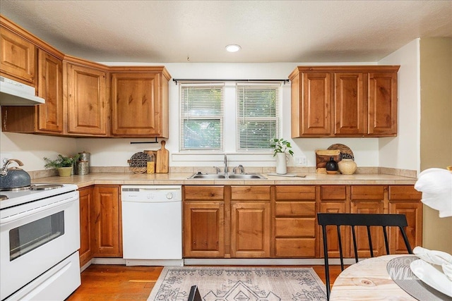 723 4th Ave N, Nampa, ID 83687 - kitchen featuring white appliances, under cabinet range hood, light countertops, and brown cabinetry