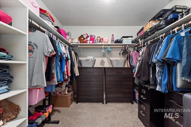 walk in closet featuring light colored carpet