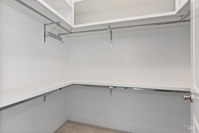 8333 S Updale Ave, Meridian, ID 83642 - view of walk in closet