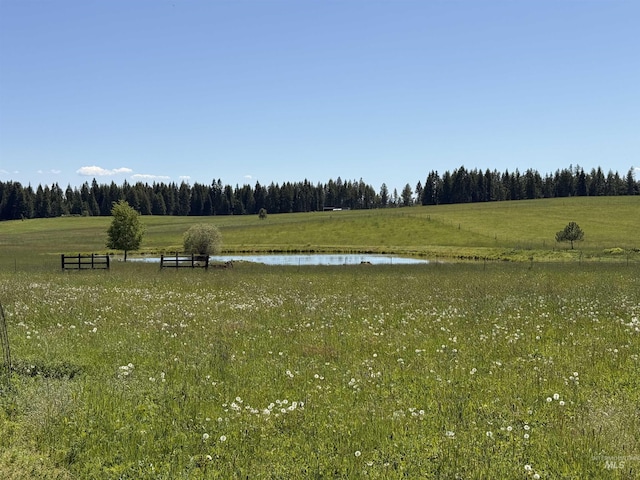5656 Three Mile Rd, Weippe, ID 83553 - view of yard with a water view, a view of trees, and a view of rural / pastoral area