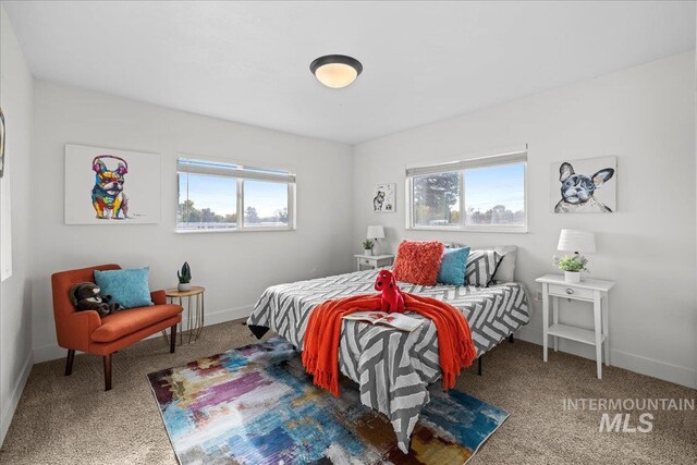 carpeted bedroom with multiple windows