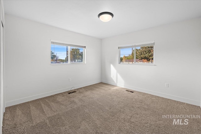carpeted spare room with plenty of natural light