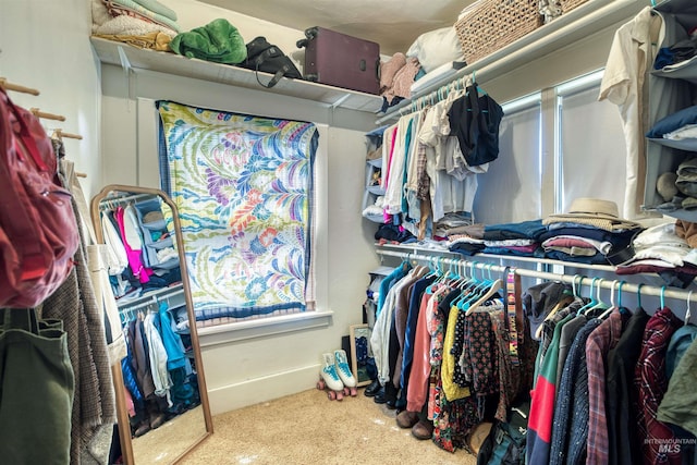 spacious closet featuring carpet