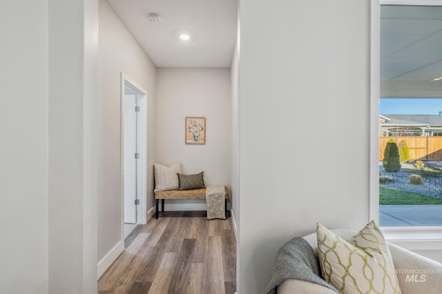 hallway with hardwood / wood-style floors and plenty of natural light