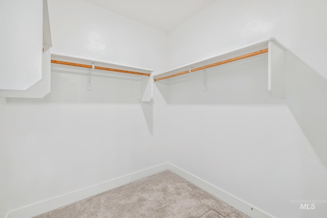 walk in closet featuring carpet