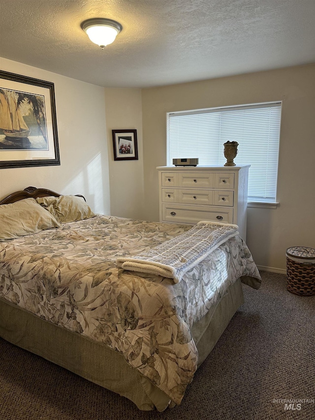 168 Long Is, Twin Falls, ID 83301 - bedroom featuring carpet, a textured ceiling, and baseboards
