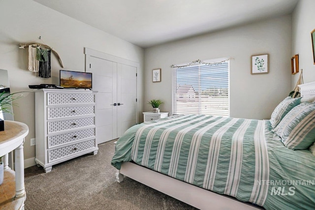 910 Blueridge Dr, Kimberly, ID 83341 - carpeted bedroom with a closet