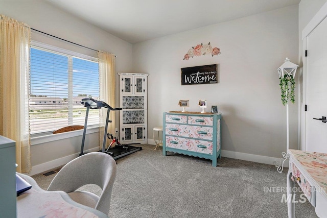 910 Blueridge Dr, Kimberly, ID 83341 - workout room with plenty of natural light, baseboards, and carpet
