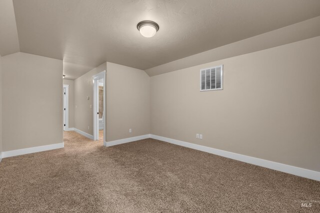 additional living space with light carpet, a textured ceiling, and lofted ceiling