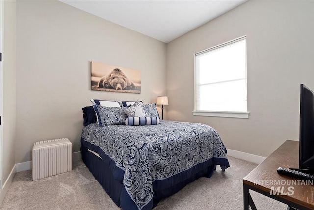 bedroom with carpet floors