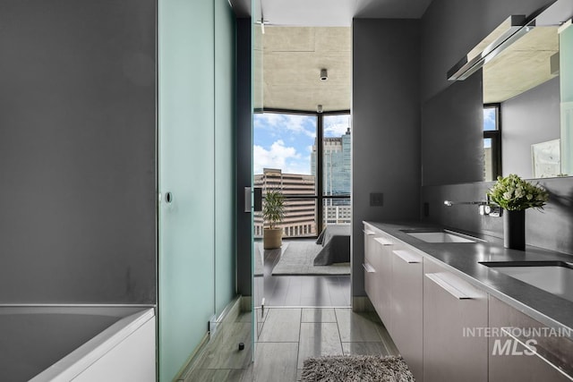 bathroom with vanity and hardwood / wood-style floors