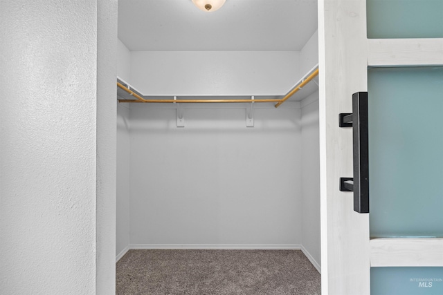 1724 Pioneer Dr, Lewiston, ID 83501 - spacious closet featuring carpet flooring