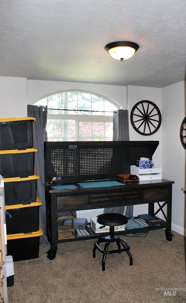 4951 W Torana St, Meridian, ID 83646 - office featuring carpet and baseboards