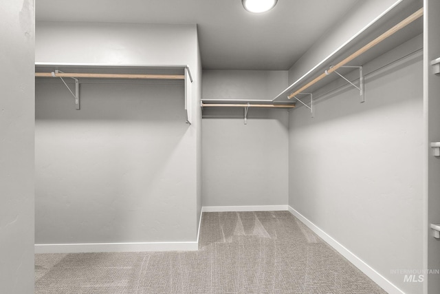 1755 N Crystal Cove Ave, Meridian, ID 83646 - walk in closet featuring carpet flooring