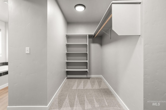 1755 N Crystal Cove Ave, Meridian, ID 83646 - spacious closet featuring carpet floors