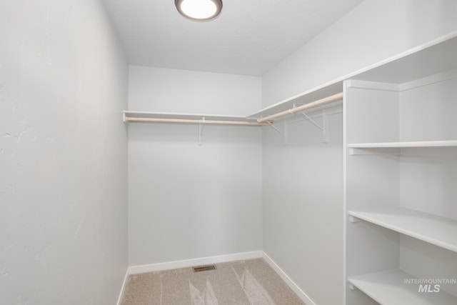 4391 N Magical Creek Ave, Meridian, ID 83646 - spacious closet with visible vents and carpet flooring