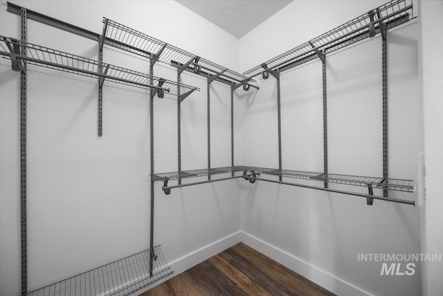 walk in closet featuring dark hardwood / wood-style floors