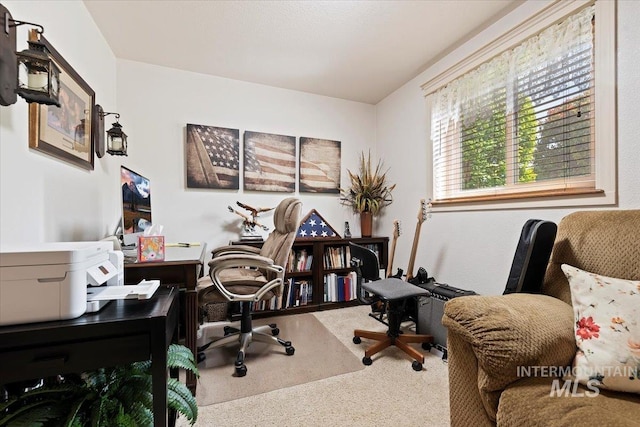 11722 W Jenilyn, Boise, ID 83713 - office space featuring carpet flooring