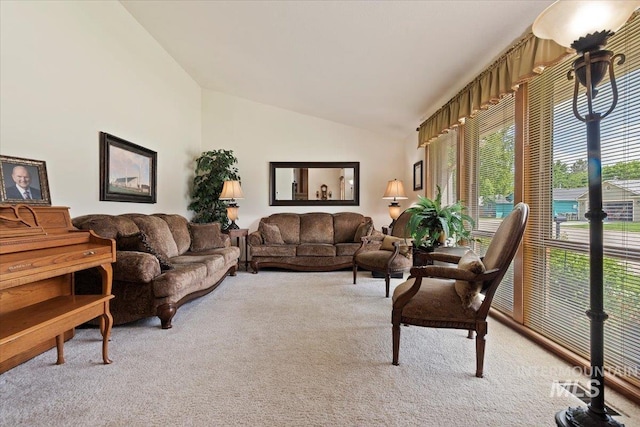 11722 W Jenilyn, Boise, ID 83713 - living room with light carpet and lofted ceiling