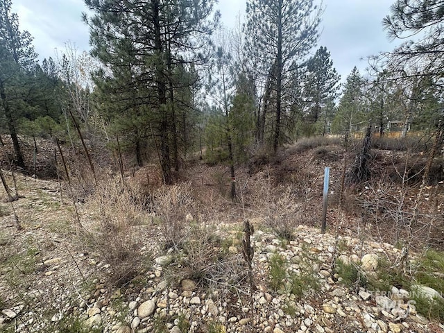 Lily Loop, Idaho City, ID 83631