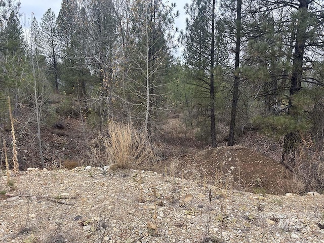 Lily Loop, Idaho City, ID 83631