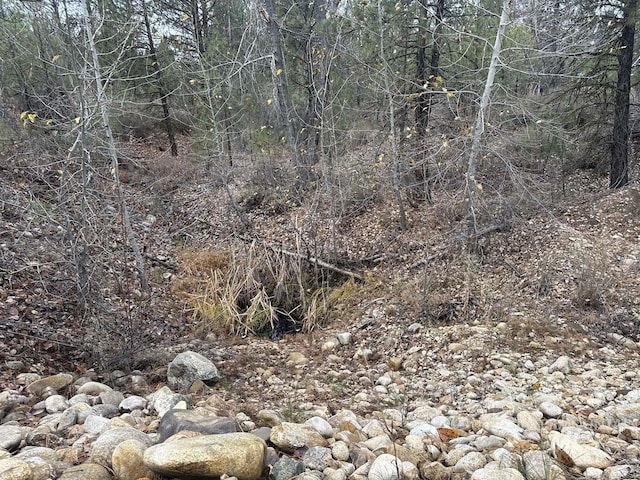 Lily Loop, Idaho City, ID 83631