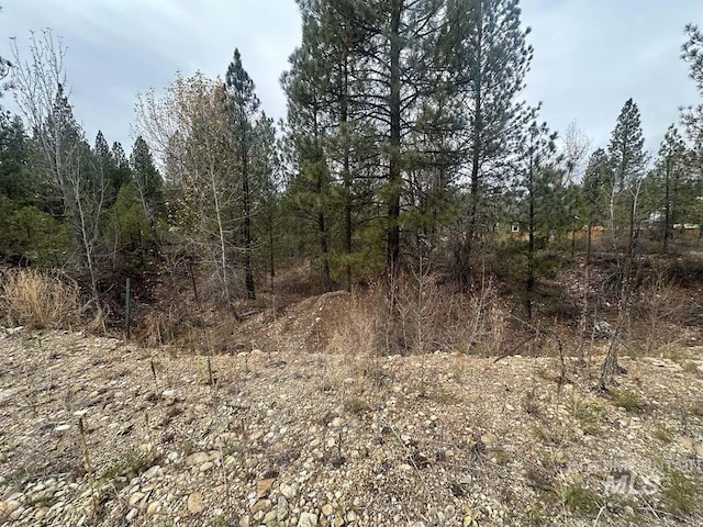 Lily Loop, Idaho City, ID 83631