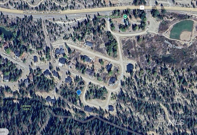 Lily Loop, Idaho City, ID 83631