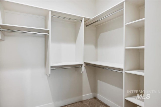 10276 W Utahna Rd, Boise, ID 83714 - walk in closet with carpet floors
