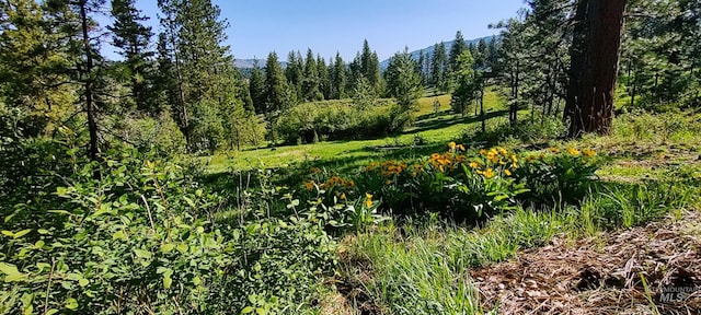 11 Turner Cir, Boise, ID 83716 - view of tree filled area