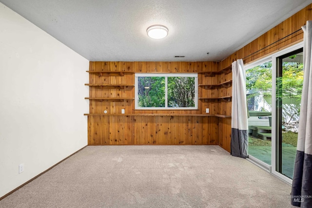 4130 S Ticonderoga Way, Boise, ID 83706 - empty room featuring wood walls, carpet flooring, and a textured ceiling
